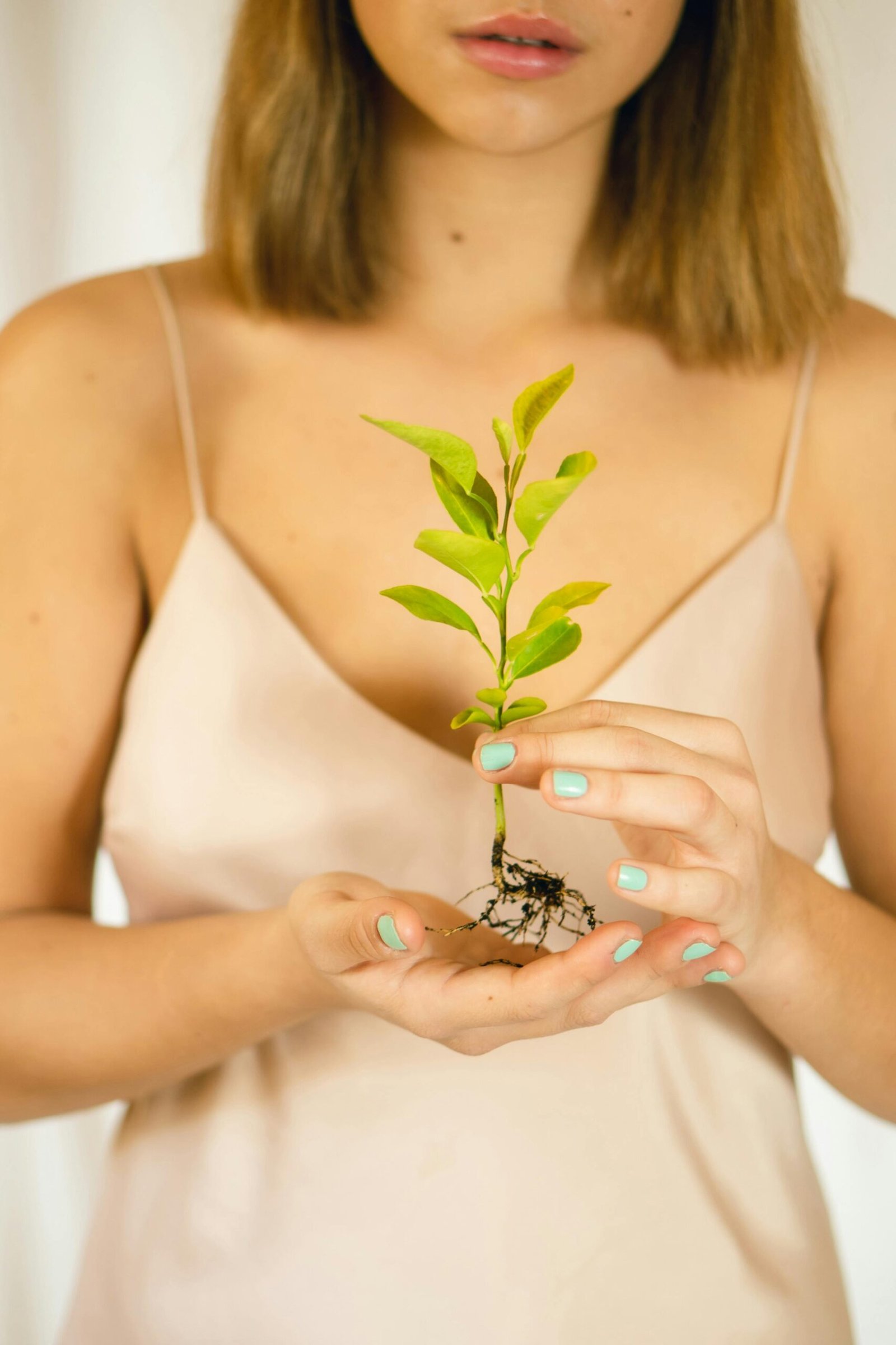 مفهوم الصحة الشاملة